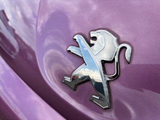 /photos/12161/0ce776e4-96c3-45d6-a6b7-7cba4c6c9084_i320x240.jpg