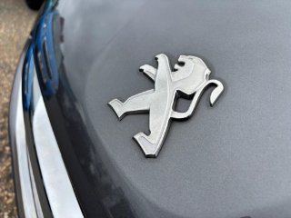 /photos/12161/9a41fe89-595c-40e2-9cde-284ac60fff71_i320x240.jpg