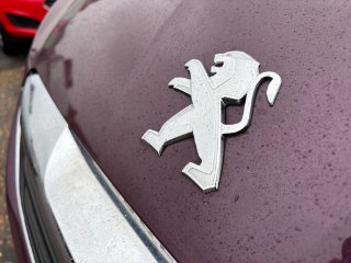 /photos/12161/e8e43b5c-7fbc-434c-a2d1-b33c4128c5b5_i320x240.jpg